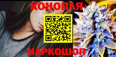 соль ск Будённовск